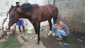 Leblon Time. No DPV, aos cuidados do Dr. Wesley Gomes. 