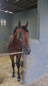 Minnesota. 90 dias de inatividade. 