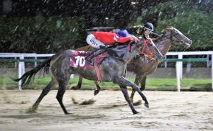 A vitória não foi fácil, mas Quiloxi alegrou a noite do Bigboss da Madalena, Joaquim Moreira. (Foto Sylvio Rondinelli - JCB)
